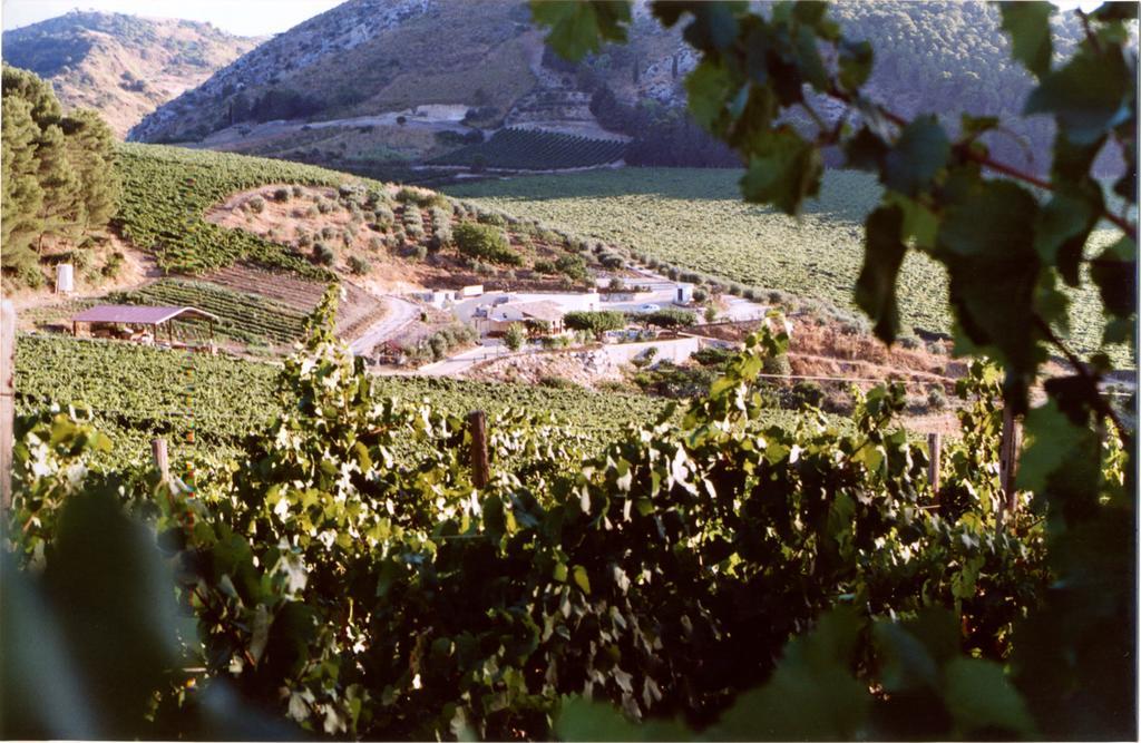 Agriturismo Tenute Pispisa Segesta Calatafimi Exterior foto